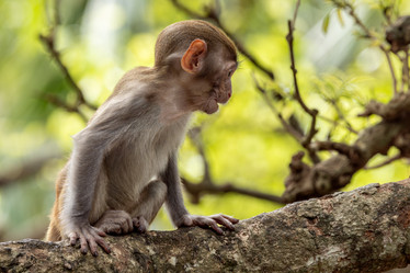 Similar image 22092563