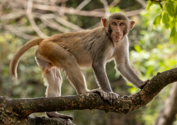 Similar image 22092564