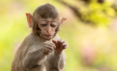 Similar image 22092568