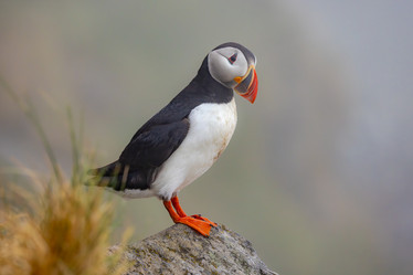 Similar image 22092569