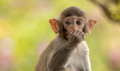 Similar image 22092575