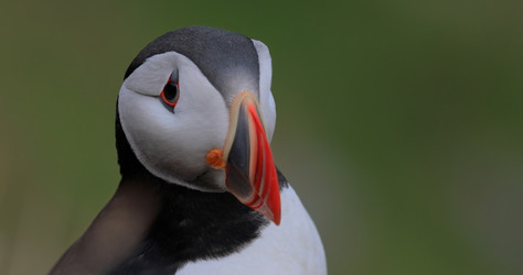 Similar image 22092577