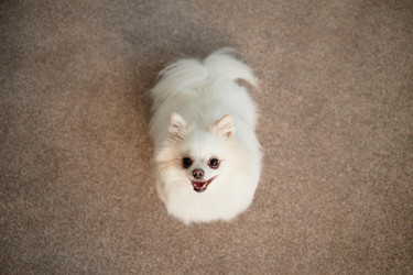 Similar image 22063157