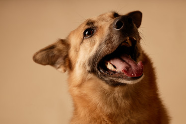 Similar image 22063147