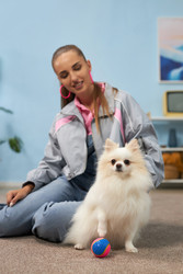 Similar image 22065358