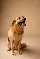 Similar image 22063145