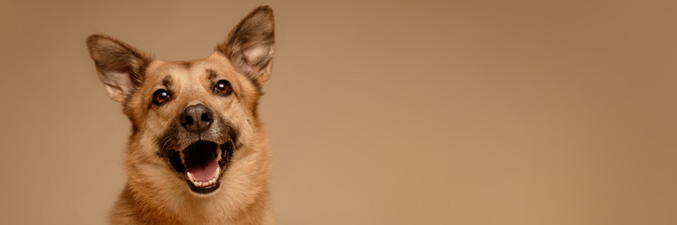 Similar image 22063178