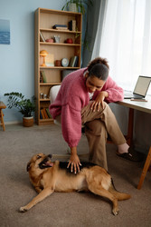 Similar image 22063125