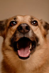 Similar image 22063165