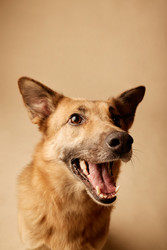 Similar image 22063160