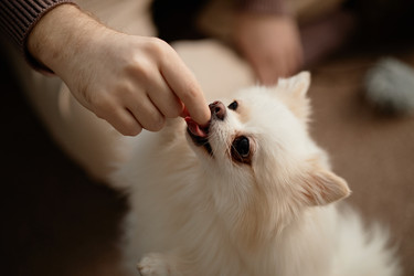 Similar image 22063186