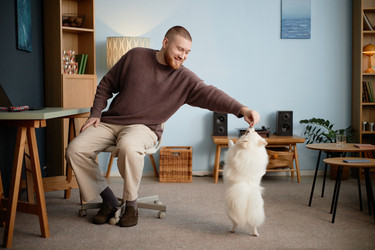 Similar image 22063191