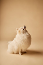 Similar image 22063148