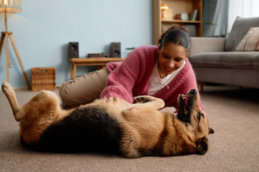 Similar image 22063205