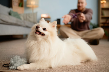 Similar image 22063162