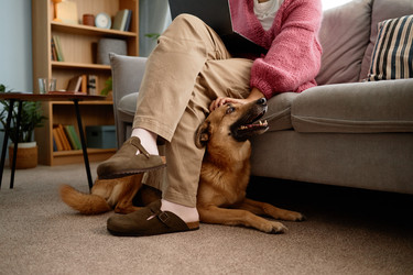 Similar image 22063210