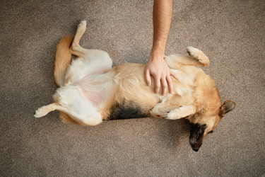 Similar image 22063115