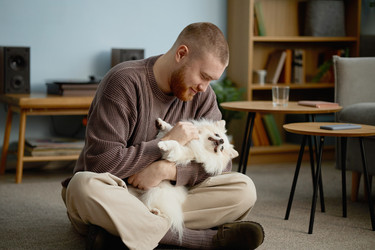 Similar image 22063202