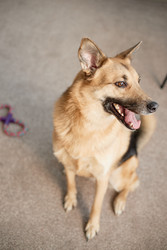 Similar image 22063200