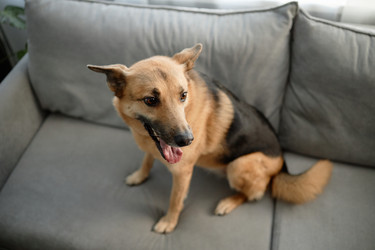 Similar image 22063113