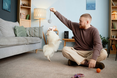 Similar image 22063154