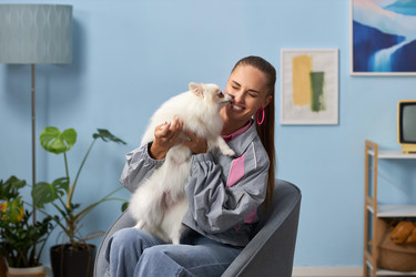 Similar image 22065311