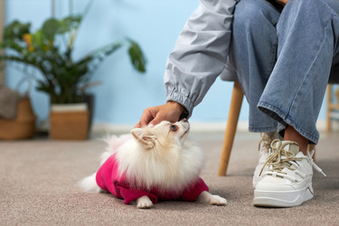 Similar image 22065330