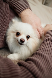 Similar image 22063143