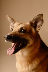 Similar image 22063152