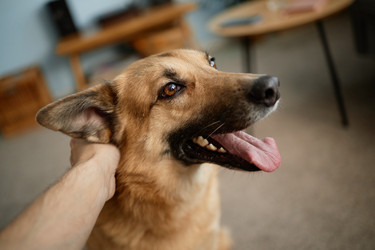 Similar image 22063199