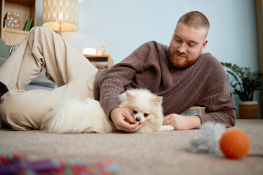 Similar image 22063155