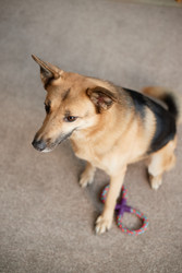 Similar image 22063195