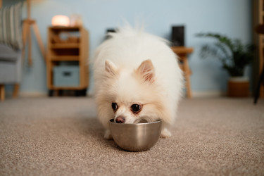 Similar image 22063169