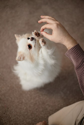 Similar image 22063187