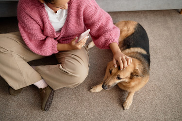 Similar image 22063213