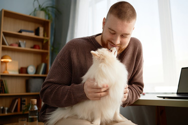 Similar image 22063174