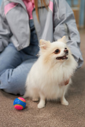 Similar image 22065349