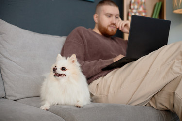 Similar image 22063170