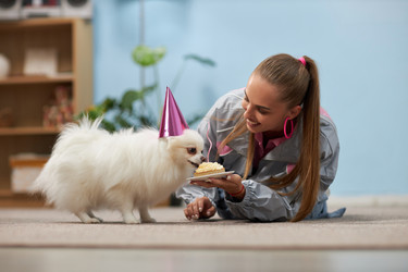 Similar image 22065350