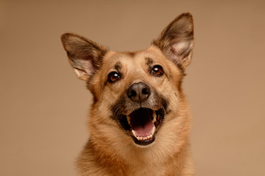 Similar image 22063161