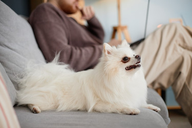 Similar image 22063166