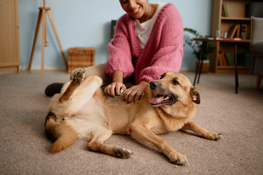 Similar image 22063130