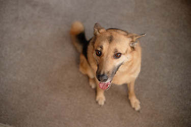 Similar image 22063139