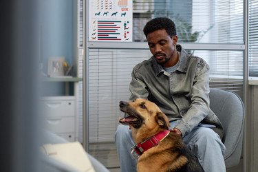 Similar image 22102141