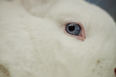 Similar image 22102100