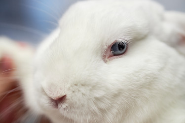 Similar image 22102133