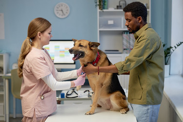 Similar image 22102155