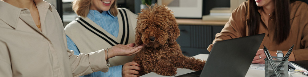 Similar image 22104613