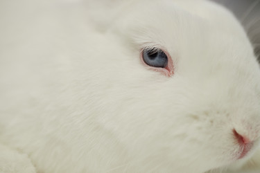 Similar image 22102107