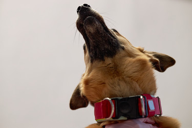 Similar image 22102157